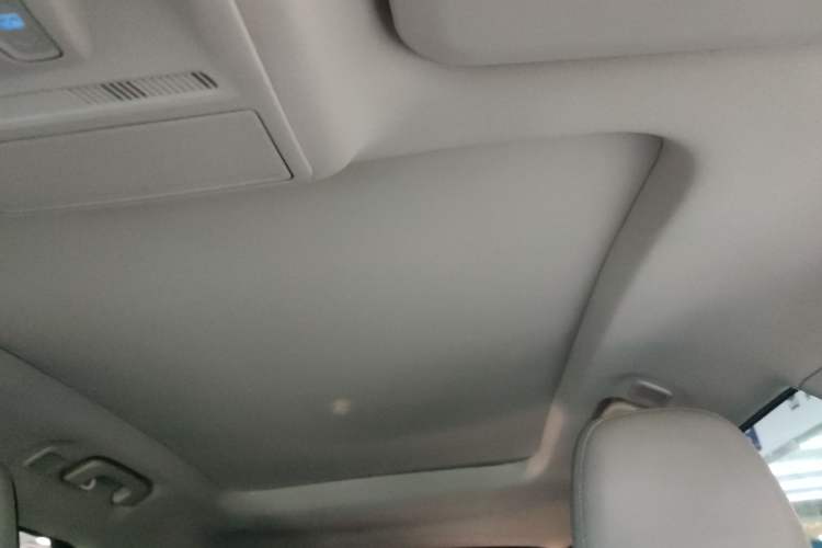 Used Ford Escape 2020 EcoBoost 245 Two-Wheel-Drive Titanium Edition Headliner