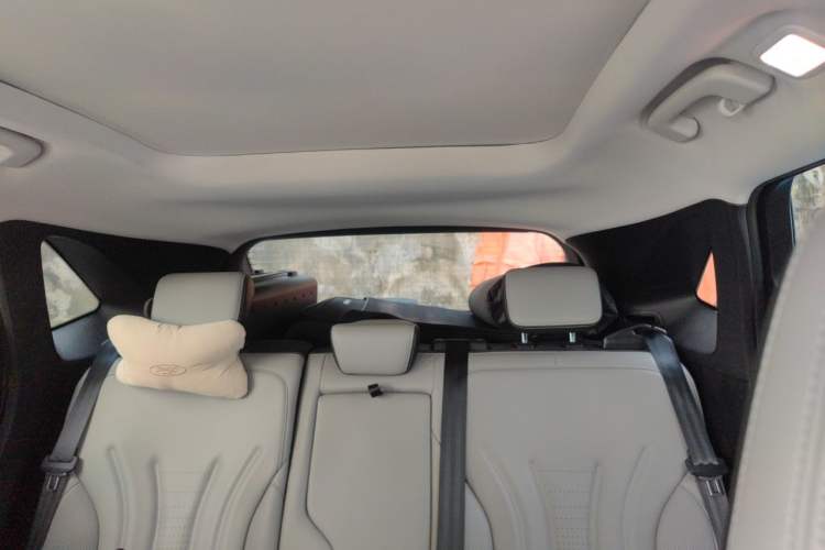Used Ford Escape 2020 EcoBoost 245 Two-Wheel-Drive Titanium Edition Headliner