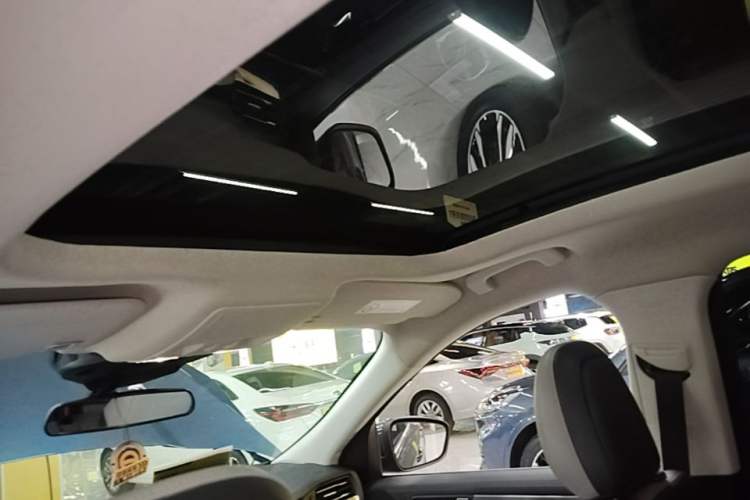 Used Ford Escape 2020 EcoBoost 245 Two-Wheel-Drive Titanium Edition Headliner