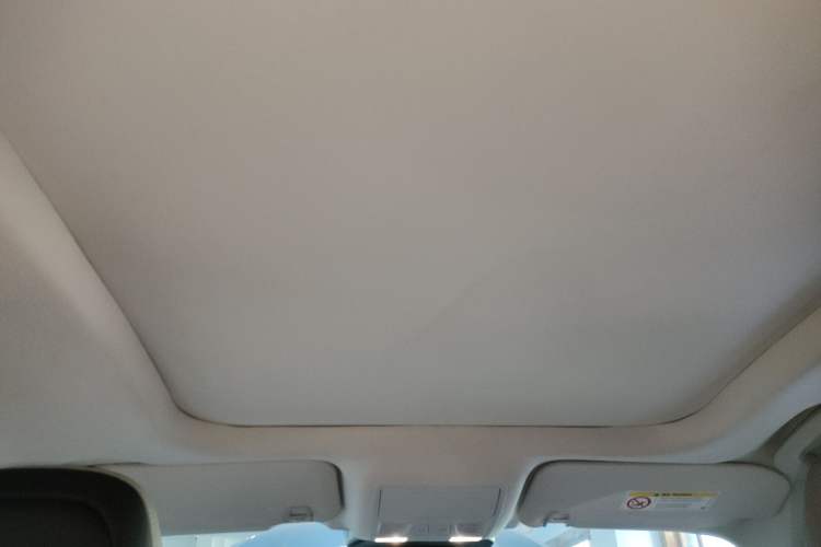 Used Ford Escape 2020 EcoBoost 245 Four-Wheel Drive Titanium Edition Headliner