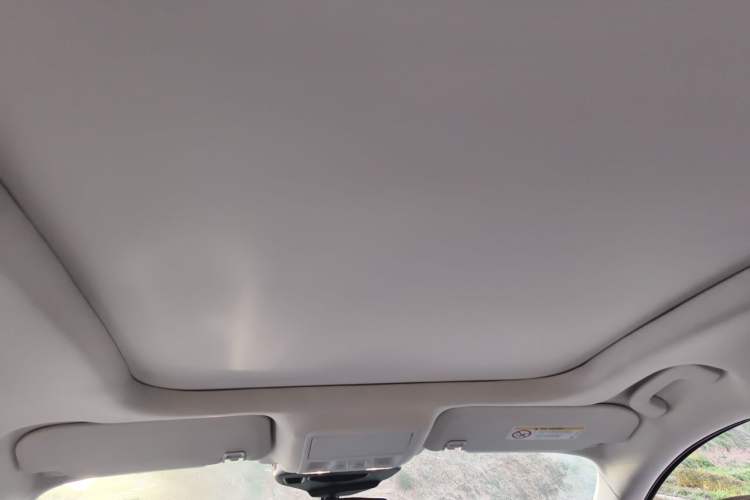 Used Ford Escape 2020 EcoBoost 245 Two-Wheel-Drive Titanium Edition Headliner