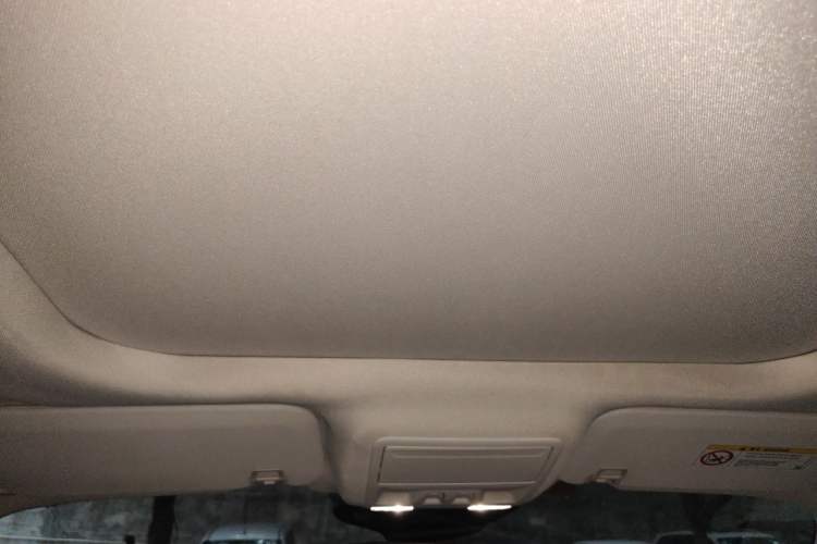 Used Ford Escape 2020 EcoBoost 245 Two-Wheel Drive Smart & Enjoyment Model Headliner