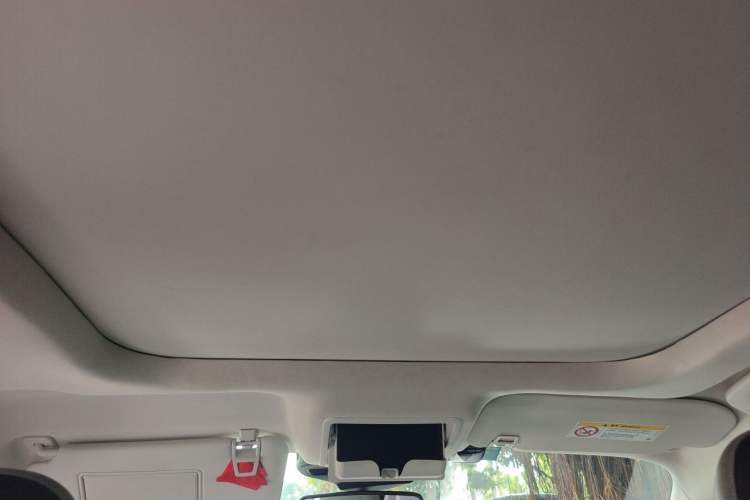 Used Ford Escape 2020 EcoBoost 245 Four-Wheel Drive Luxury Edition Headliner