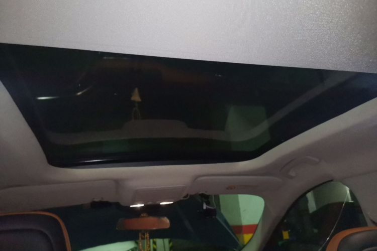 Used Ford Escape 2020 EcoBoost 245 Four-Wheel Drive Titanium Edition Headliner