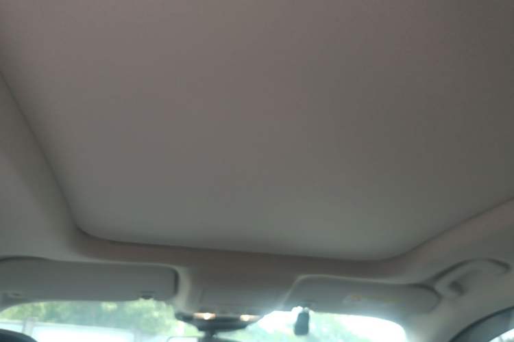 Used Ford Escape 2020 EcoBoost 245 Two-Wheel-Drive Comfort Edition Headliner