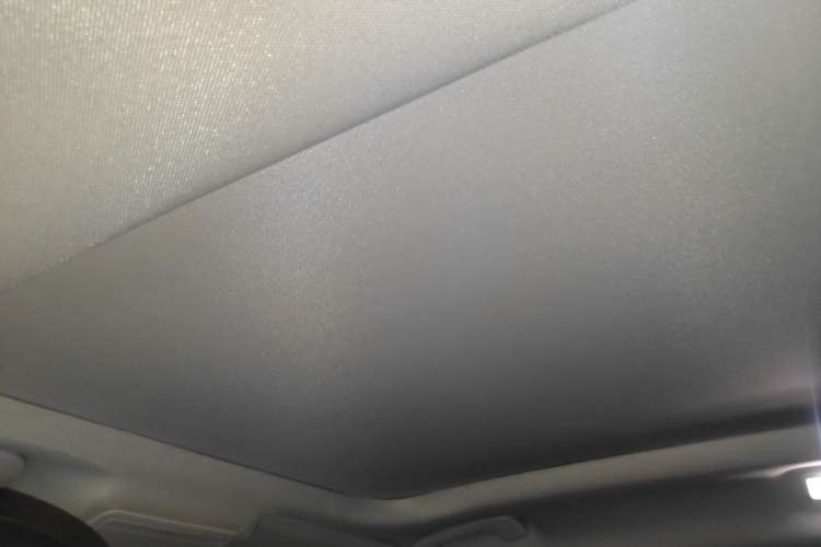 Used Ford Escape 2020 EcoBoost 245 Two-Wheel-Drive Titanium Edition Headliner