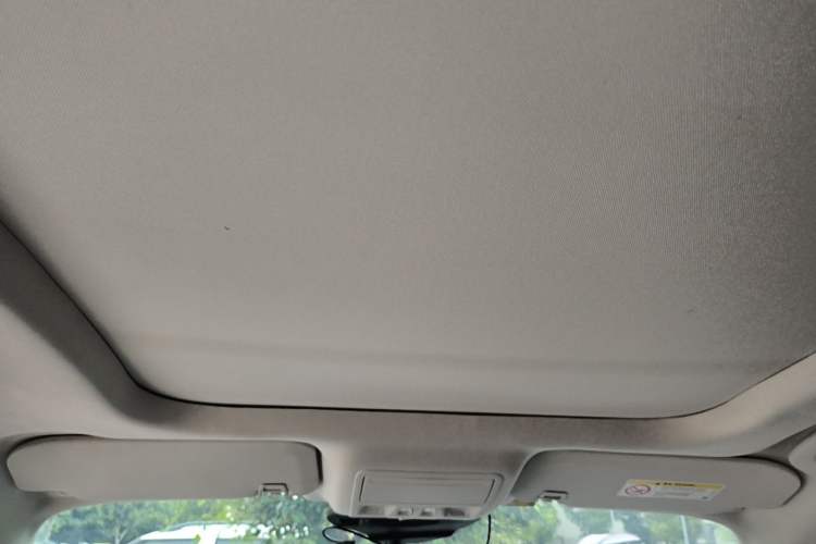 Used Ford Escape 2020 EcoBoost 245 Two-Wheel-Drive Titanium Edition Headliner