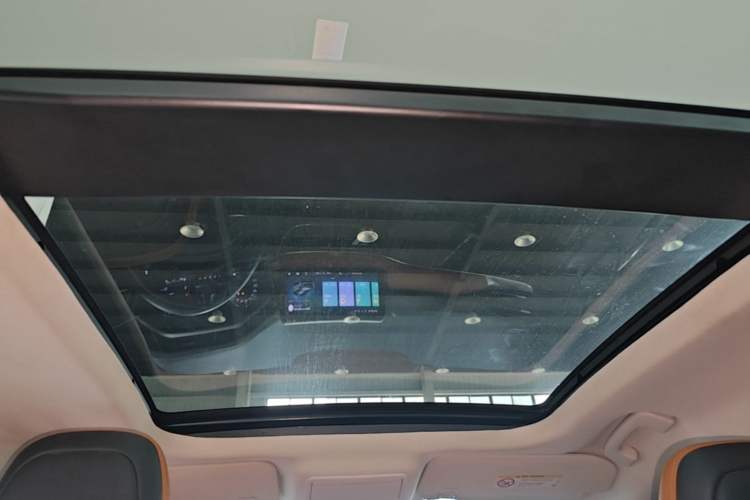 Used Ford Escape 2020 EcoBoost 245 Two-Wheel-Drive Titanium Edition Headliner