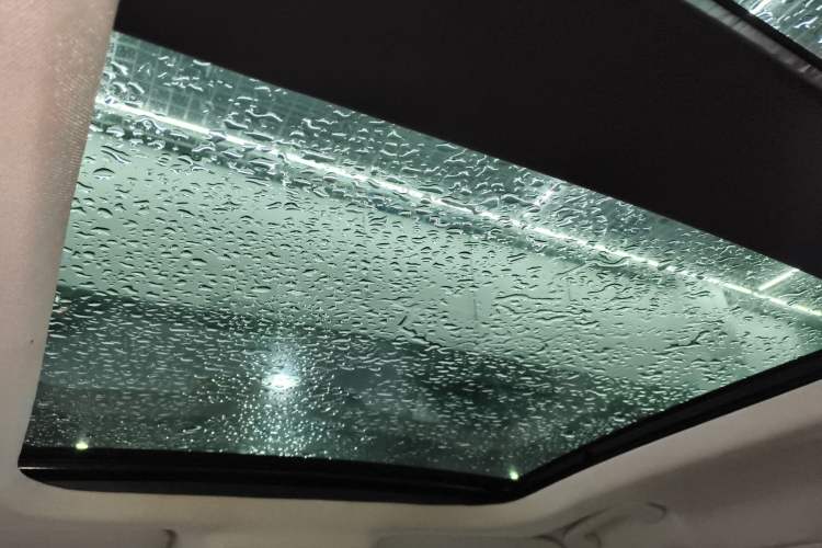 Used Ford Escape 2020 EcoBoost 245 Four-Wheel Drive Titanium Edition Headliner