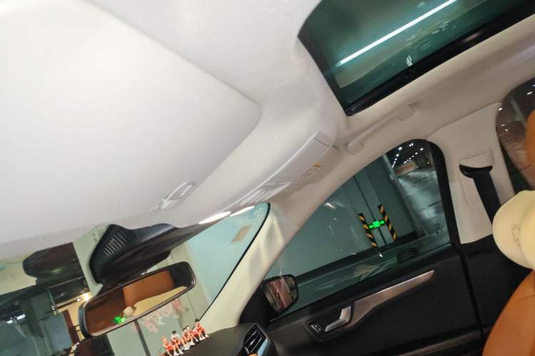 Used Ford Escape 2020 EcoBoost 245 Four-Wheel Drive Luxury Edition Headliner