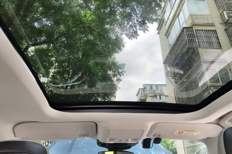 Used Ford Escape 2020 EcoBoost 245 Two-Wheel-Drive Titanium Edition Headliner
