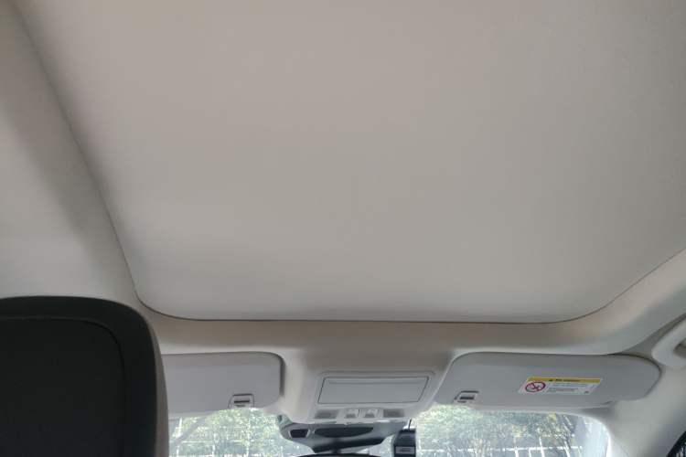 Used Ford Escape 2020 EcoBoost 245 Two-Wheel-Drive Titanium Edition Headliner