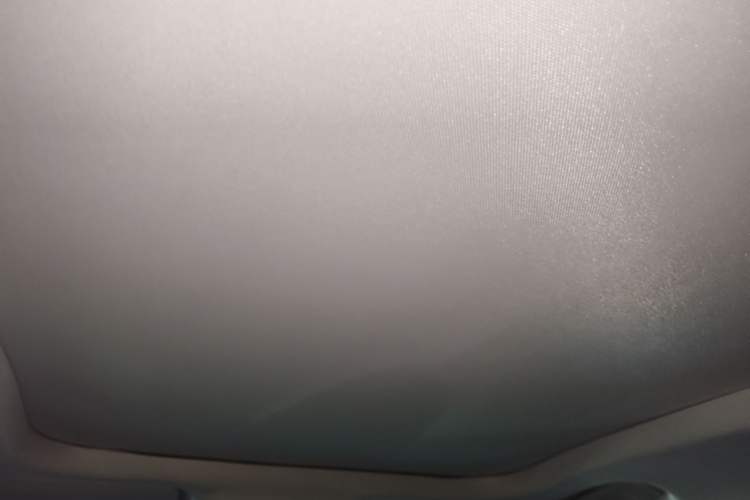 Used Ford Escape 2020 EcoBoost 245 Two-Wheel-Drive Titanium Edition Headliner
