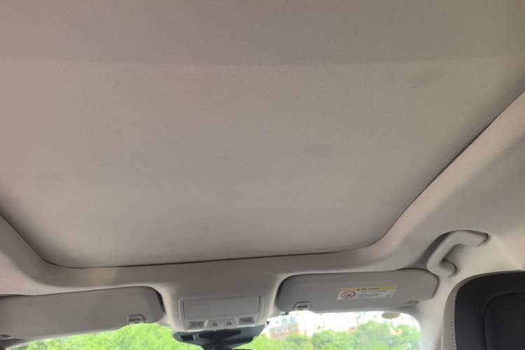 Used Ford Escape 2020 EcoBoost 245 Four-Wheel Drive Titanium Edition Headliner