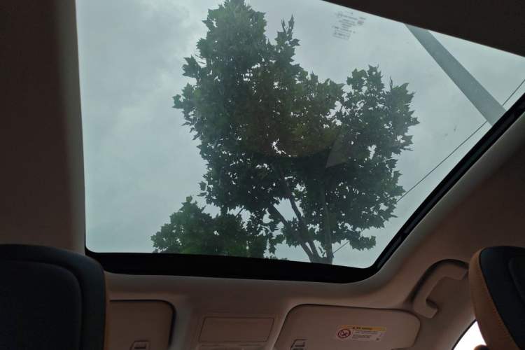Used Ford Escape 2020 EcoBoost 245 Four-Wheel Drive Luxury Edition Headliner