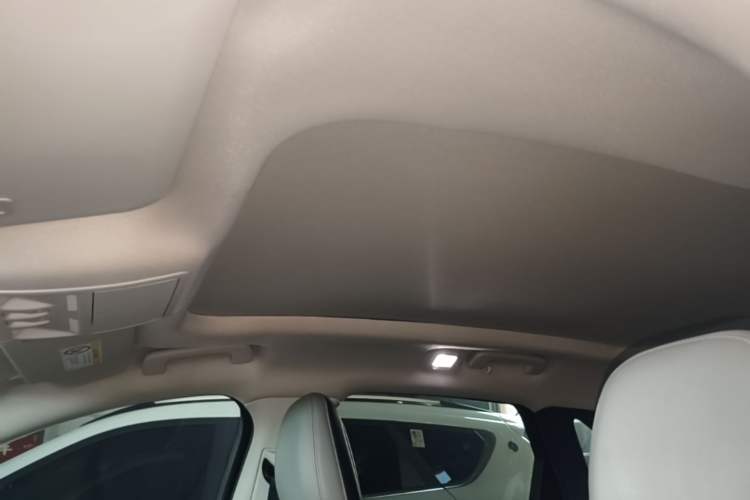 Used Ford Escape 2020 EcoBoost 245 Two-Wheel-Drive Titanium Edition Headliner