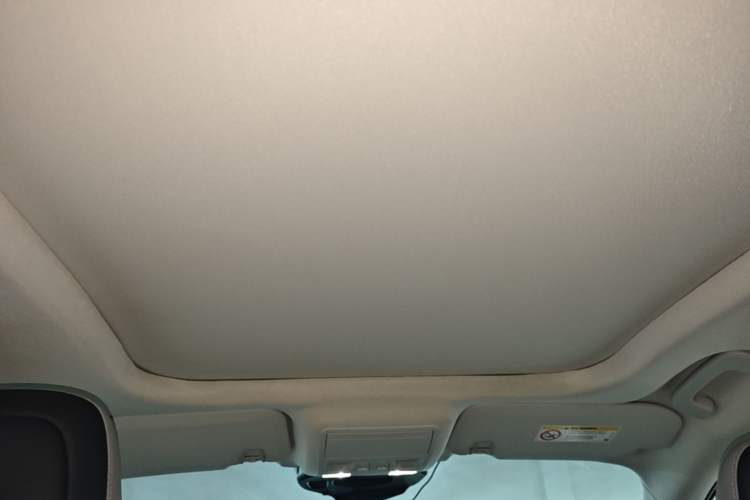 Used Ford Escape 2020 EcoBoost 245 Two-Wheel-Drive Titanium Edition Headliner