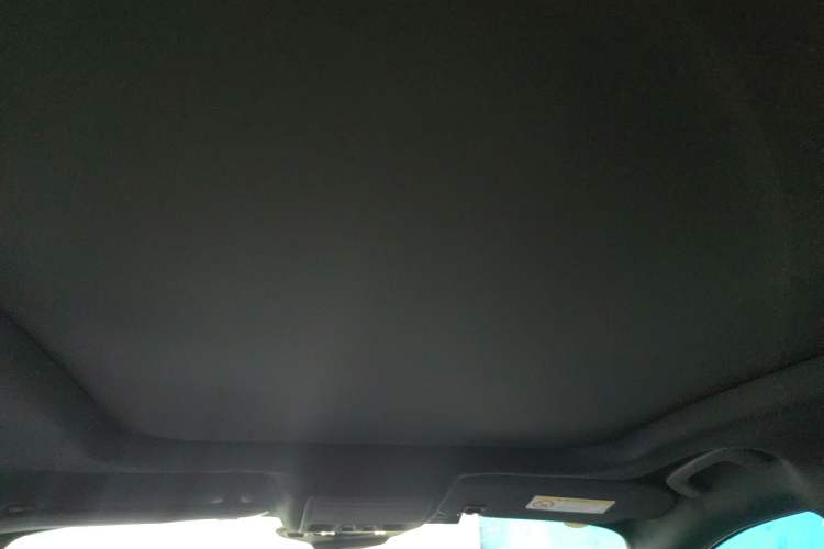Used Ford Escape 2020 EcoBoost 245 Four-Wheel Drive ST-LINE Deluxe Edition Headliner
