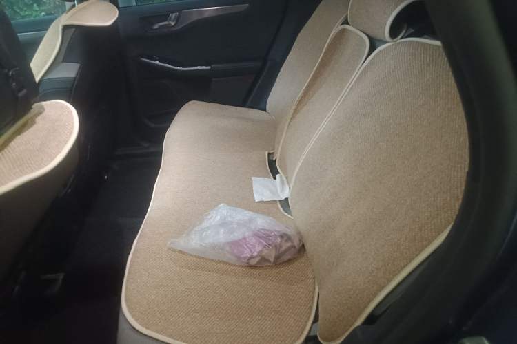 Used Ford Escape 2020 EcoBoost 245 Two-Wheel-Drive Titanium Edition Left Rear Seat