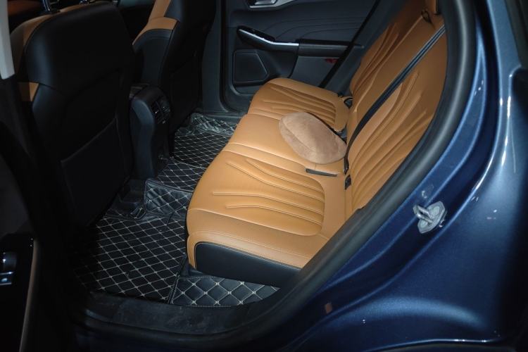 Used Ford Escape 2020 EcoBoost 245 Four-Wheel Drive Luxury Edition Left Rear Seat