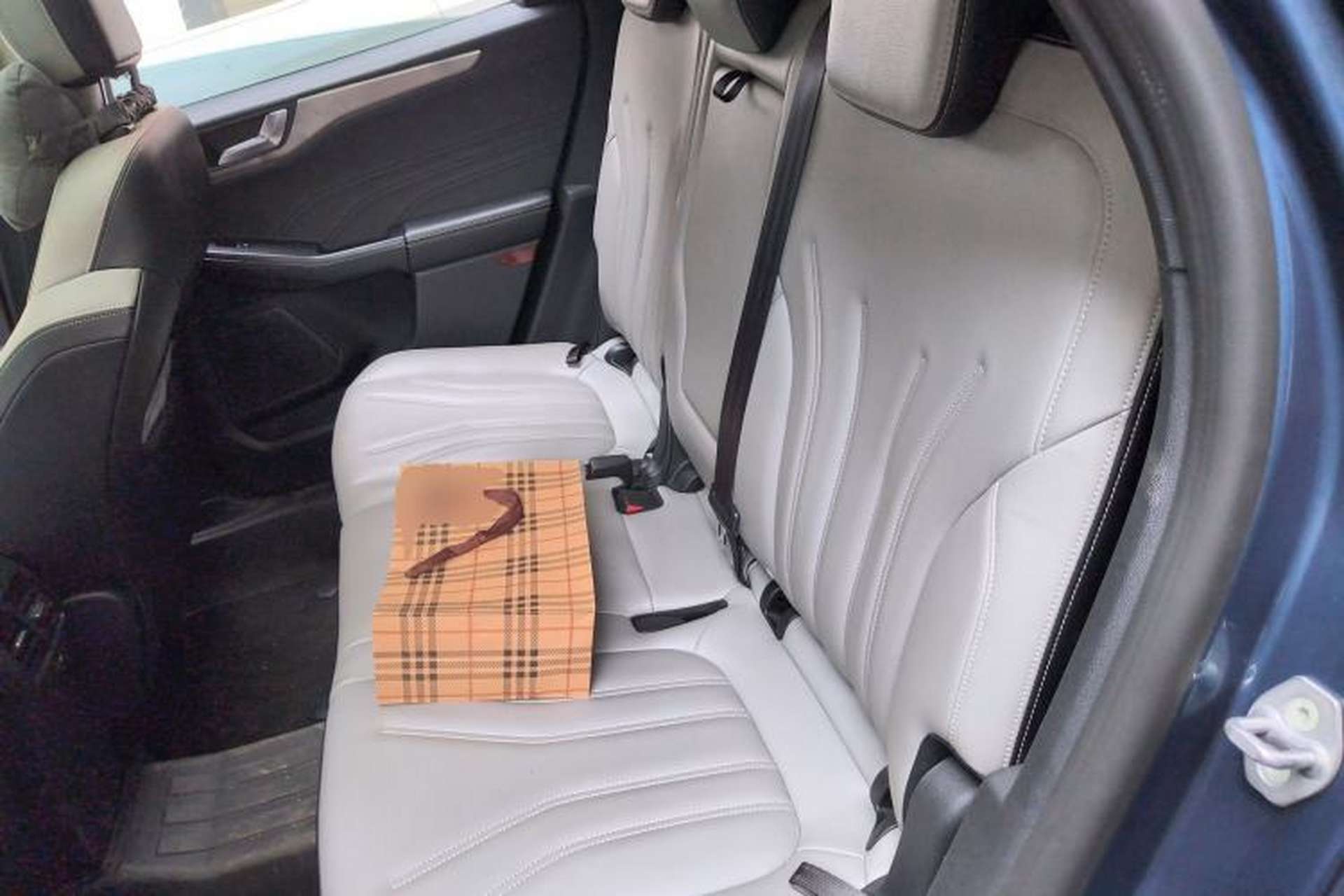 Used Ford Escape 2020 EcoBoost 245 Two-Wheel-Drive Comfort Edition Left Rear Seat