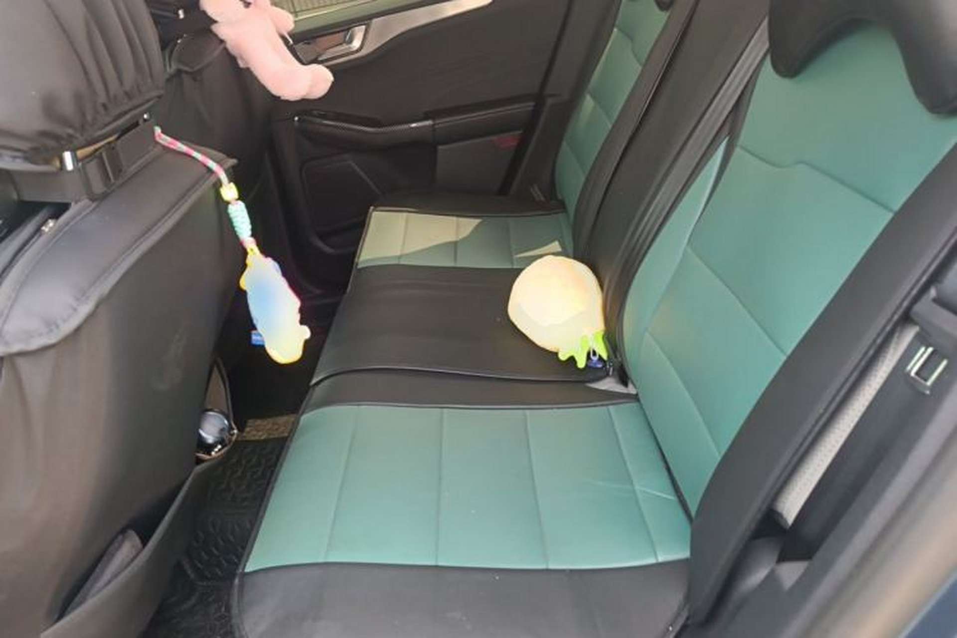 Used Ford Escape 2020 EcoBoost 245 Two-Wheel-Drive Titanium Edition Left Rear Seat