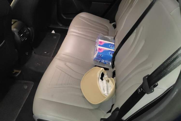 Used Ford Escape 2020 EcoBoost 245 Two-Wheel-Drive Titanium Edition Left Rear Seat