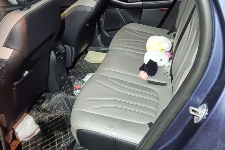 Used Ford Escape 2020 EcoBoost 245 Two-Wheel-Drive Titanium Edition Left Rear Seat