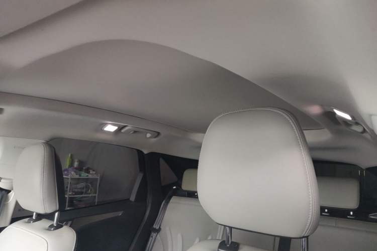 Used Ford Escape 2020 EcoBoost 245 Four-Wheel Drive ST-LINE Deluxe Edition Headliner