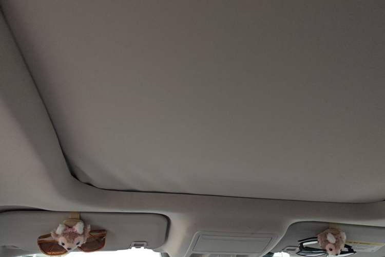 Used Ford Escape 2020 EcoBoost 245 Four-Wheel Drive Luxury Edition Headliner