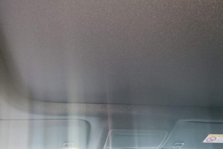 Used Ford Escape 2020 EcoBoost 245 Four-Wheel Drive ST-LINE Deluxe Edition Headliner