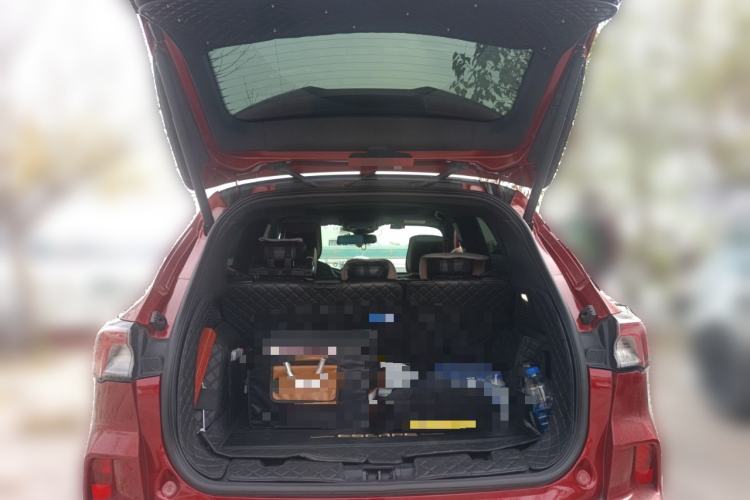 Used Ford Escape 2020 EcoBoost 245 Four-Wheel Drive ST-LINE Deluxe Edition Trunk
