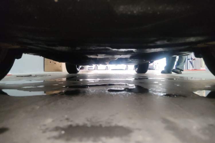 Used Ford Escape 2020 EcoBoost 245 Two-Wheel-Drive Comfort Edition Chassis Rear