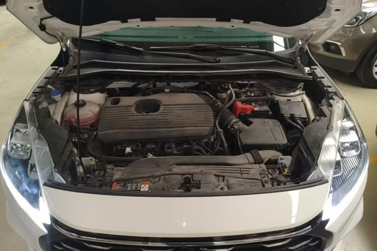 Used Ford Escape 2020 EcoBoost 245 Four-Wheel Drive Luxury Edition Engine Bay