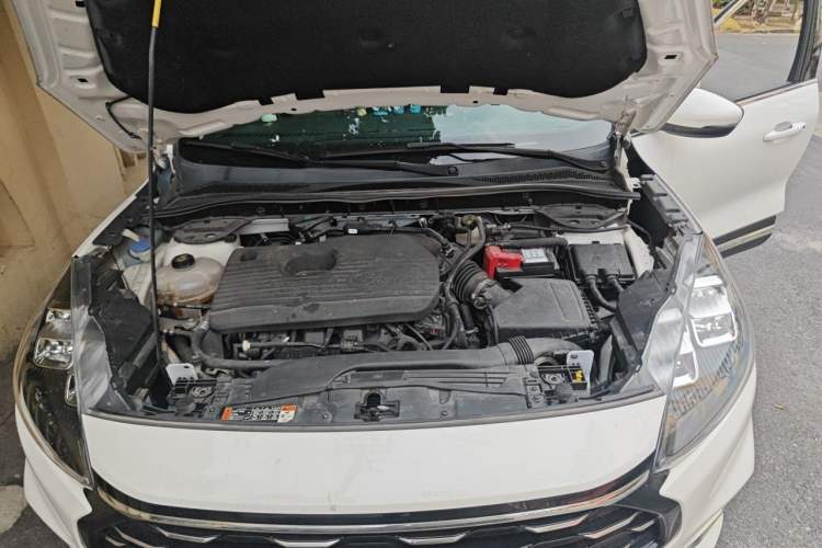 Used Ford Escape 2020 EcoBoost 245 Two-Wheel-Drive Titanium Edition Engine Bay