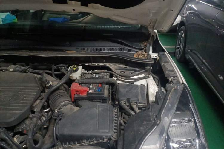 Used Ford Escape 2020 EcoBoost 245 Two-Wheel-Drive Titanium Edition Engine Bay Left