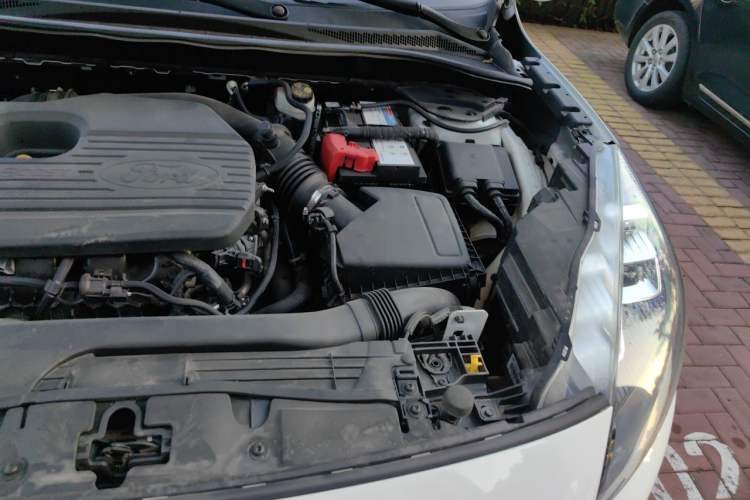 Used Ford Escape 2020 EcoBoost 245 Four-Wheel Drive ST-LINE Deluxe Edition Engine Bay Left