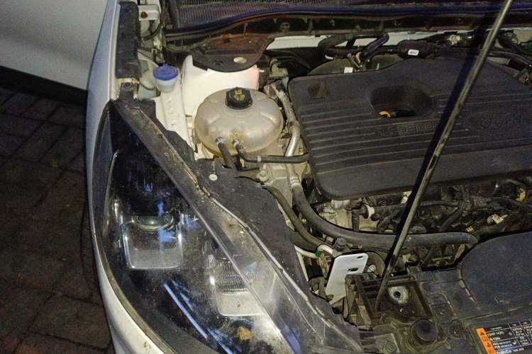 Used Ford Escape 2020 EcoBoost 245 Two-Wheel-Drive Comfort Edition Engine Bay Right