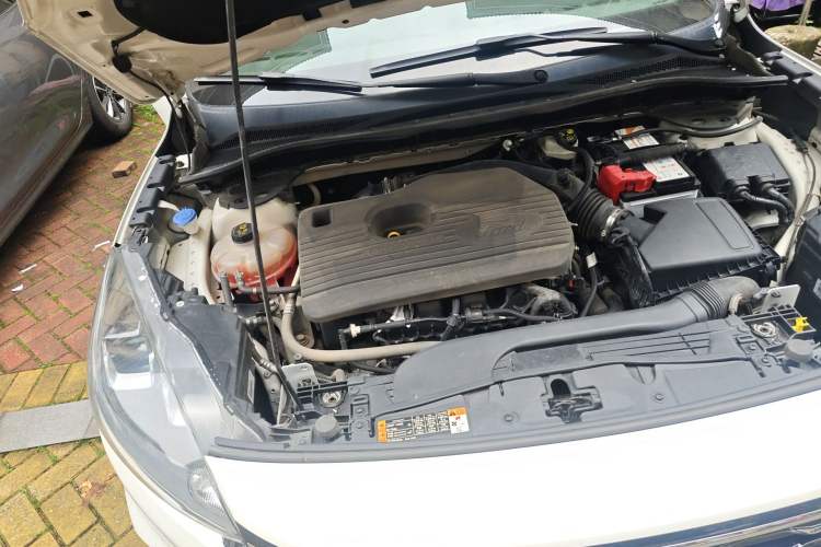 Used Ford Escape 2020 EcoBoost 245 4x4 Enjoyment Model Engine Bay Right