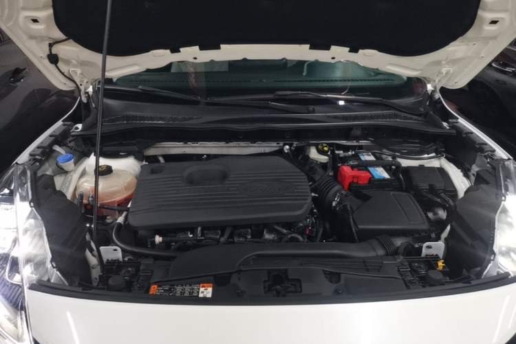 Used Ford Escape 2020 EcoBoost 245 Four-Wheel Drive Luxury Edition Engine Bay