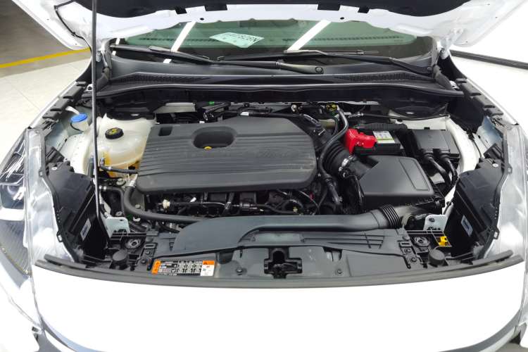 Used Ford Escape 2020 EcoBoost 245 Two-Wheel-Drive Comfort Edition Engine Bay