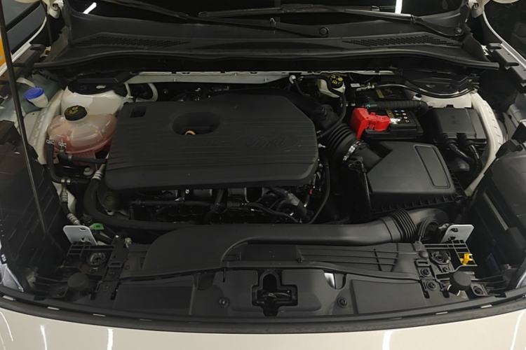 Used Ford Escape 2020 EcoBoost 245 Four-Wheel Drive Luxury Edition Engine Bay