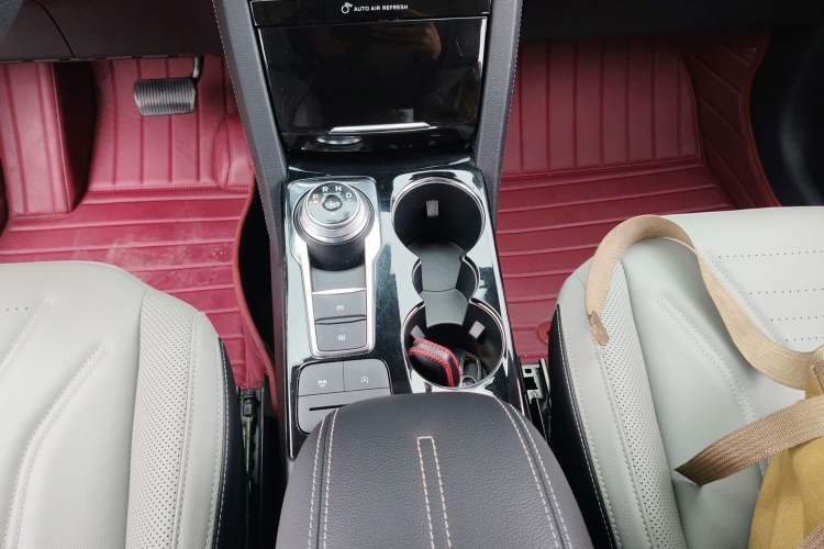 Used Ford Escape 2020 EcoBoost 245 Four-Wheel Drive Luxury Edition Gear Lever