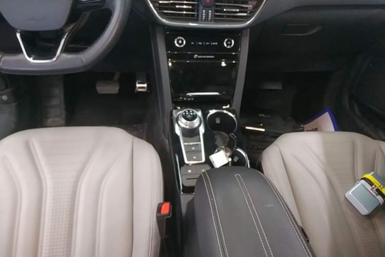 Used Ford Escape 2020 EcoBoost 245 Four-Wheel Drive Luxury Edition Gear Lever