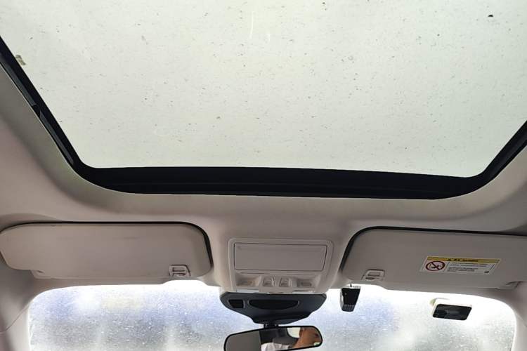 Used Ford Escape 2020 EcoBoost 245 Two-Wheel-Drive Titanium Edition Headliner