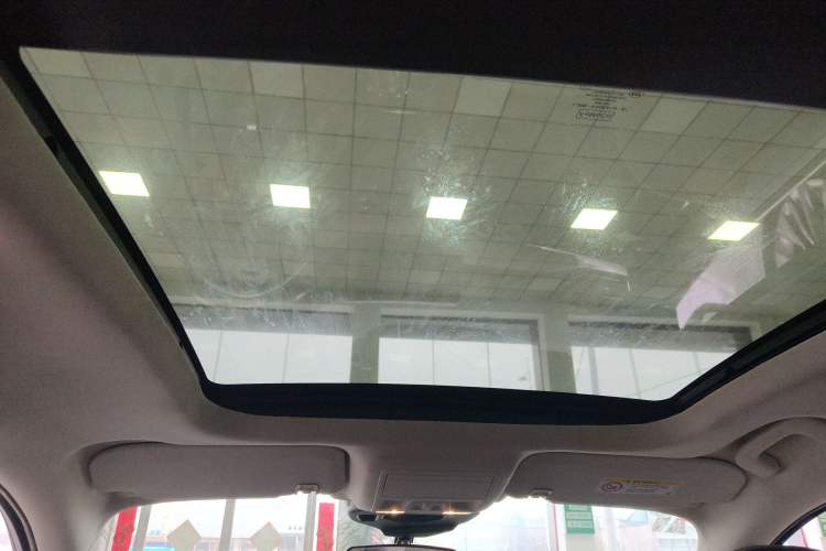 Used Ford Escape 2020 EcoBoost 245 Two-Wheel-Drive Titanium Edition Headliner