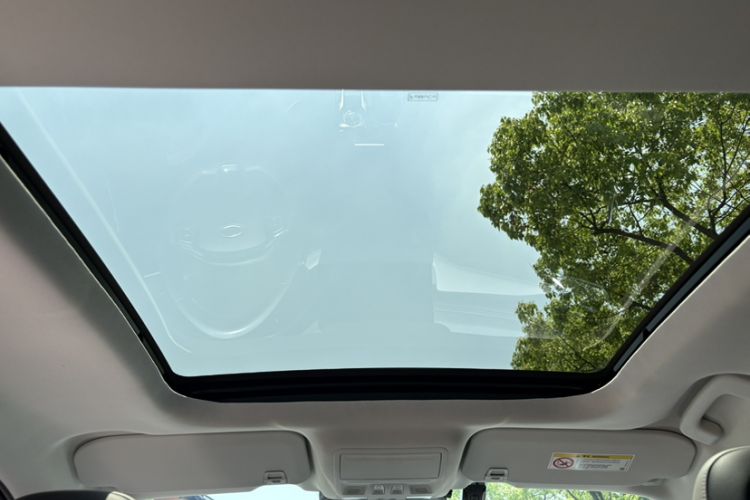 Used Ford Escape 2020 EcoBoost 245 Two-Wheel-Drive Titanium Edition Headliner