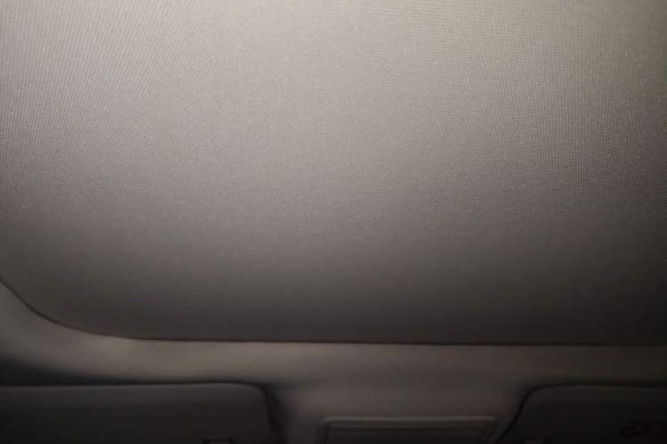 Used Ford Escape 2020 EcoBoost 245 Four-Wheel Drive Titanium Edition Headliner