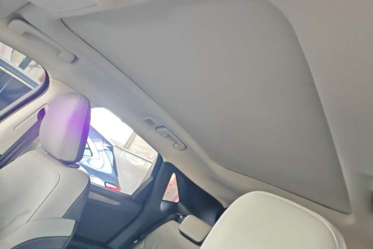 Used Ford Escape 2020 EcoBoost 245 Two-Wheel-Drive Titanium Edition Headliner