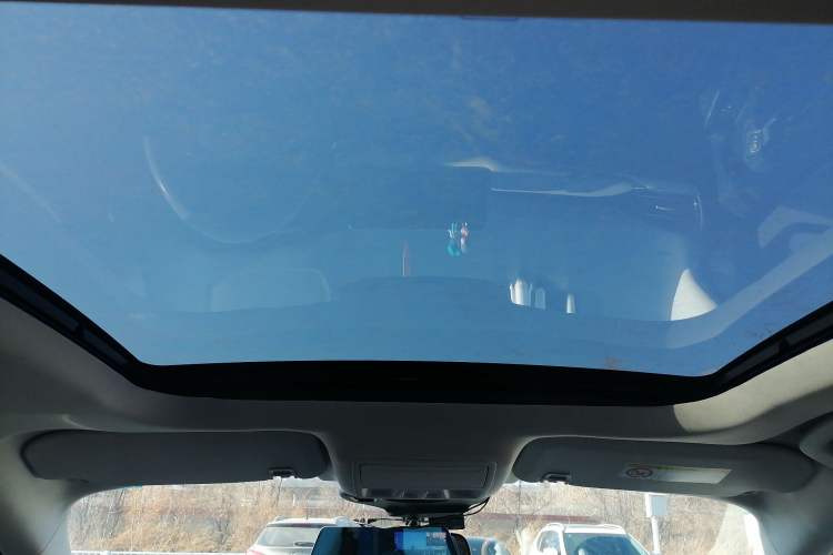 Used Ford Escape 2020 EcoBoost 245 4x4 Enjoyment Model Headliner